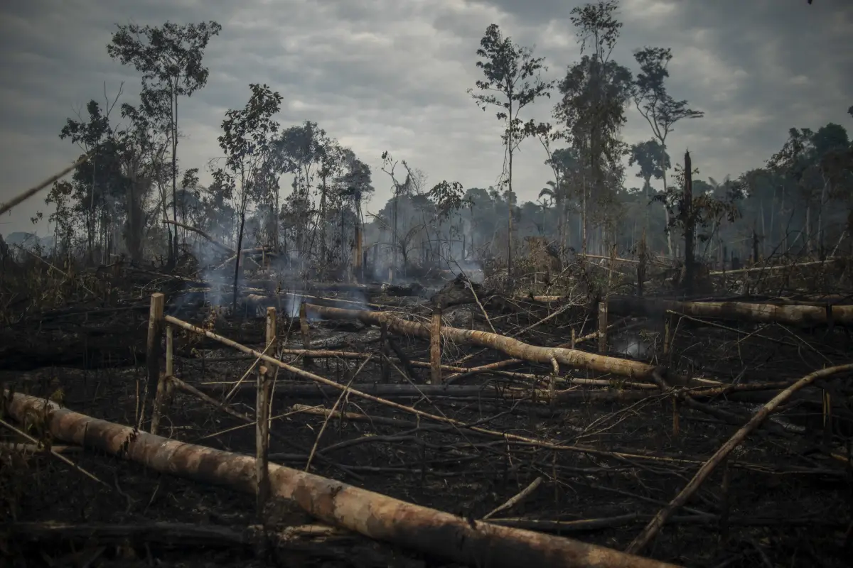 Deforestación de la Amazonía Brasileña