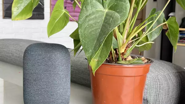 Google Nest Audio