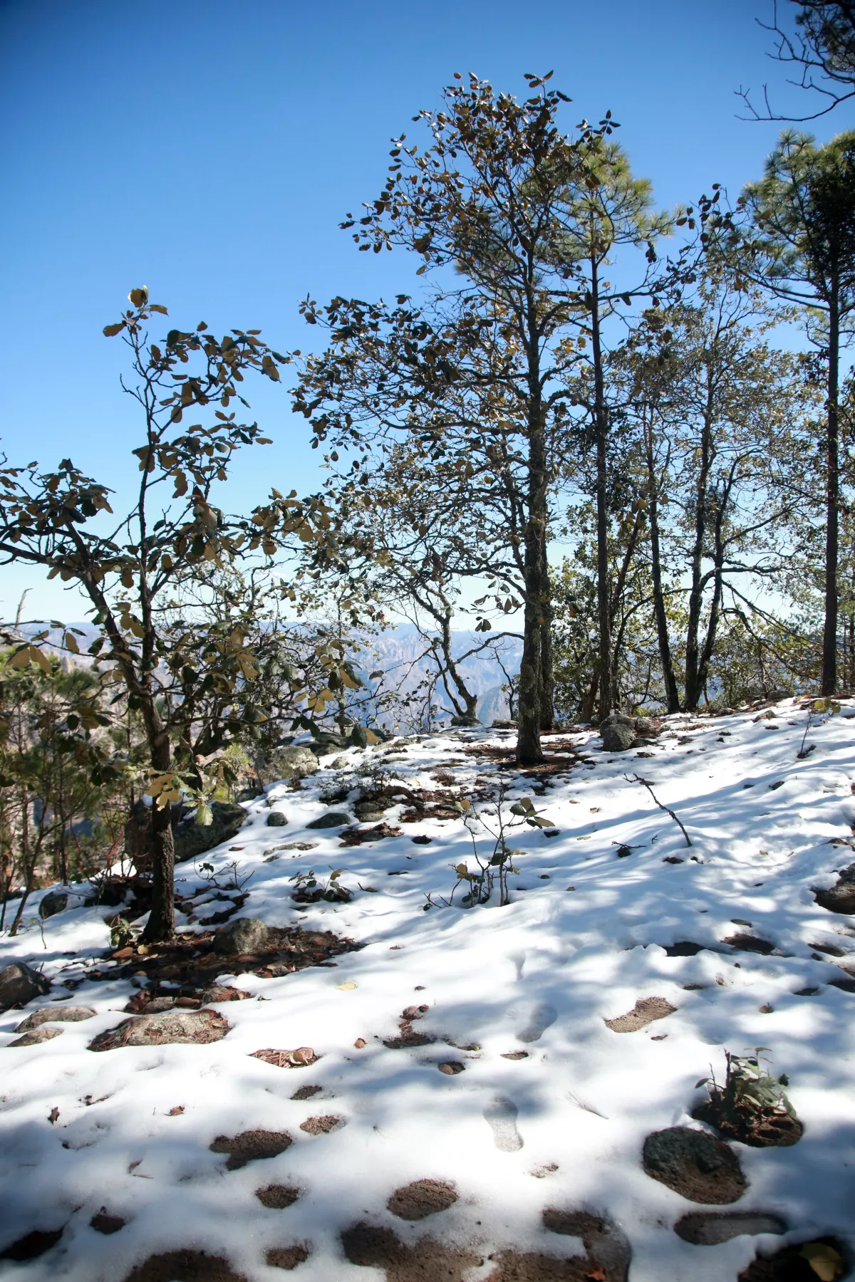 Sierra Tarahumara, Chihuahua