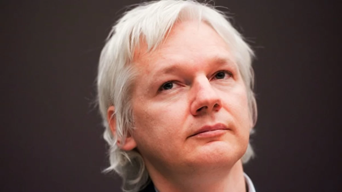 assange wikileaks