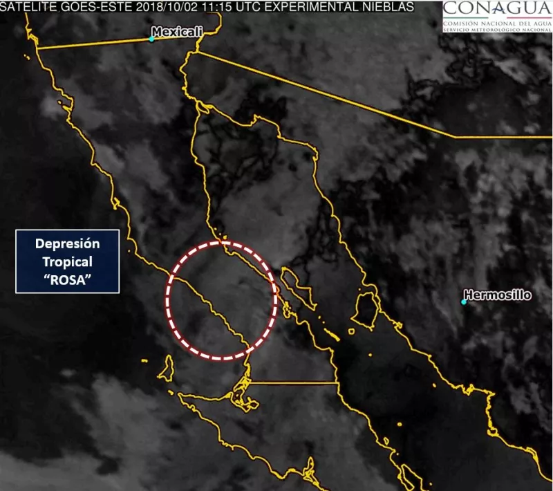 Rosa Conagua Baja California