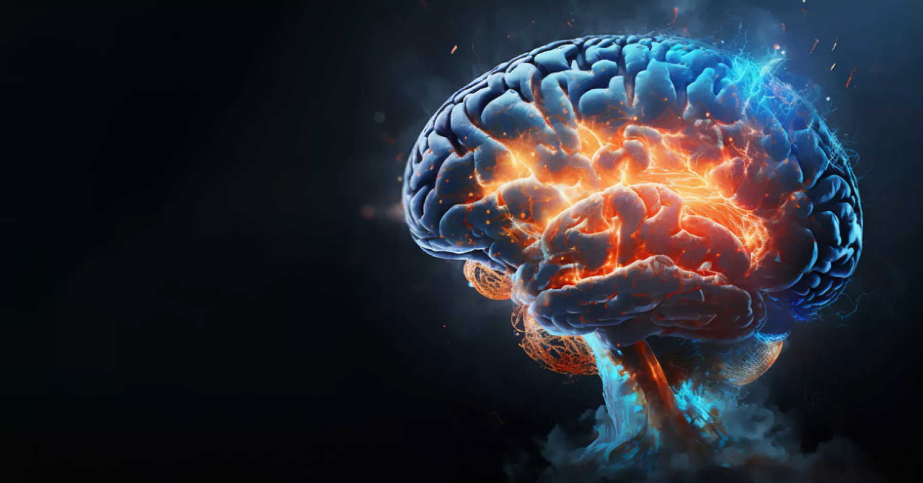 investigacion-cerebro-recupera-sin-alcohol-.jpg