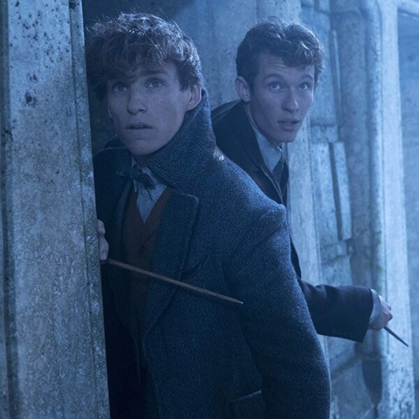 THESEUSyNEWT
