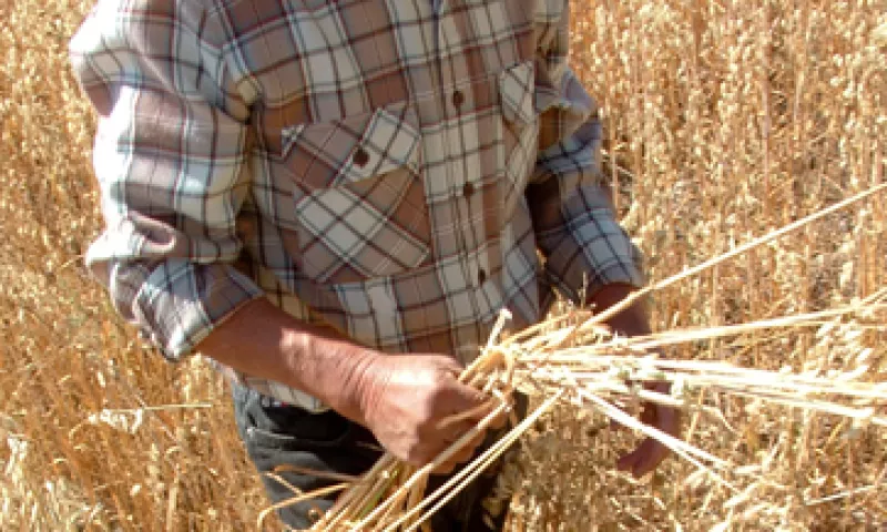 Grupo Trimex tiene cuatro plantas en México y entre sus principales marcas destacan Medalla de Oro y Victoria. (Foto: Cuartoscuro )
