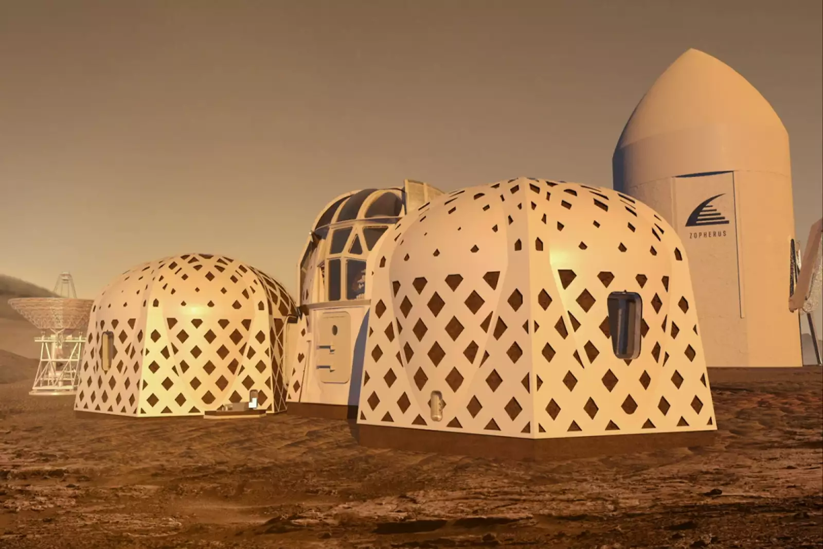 Zopherus - diseño - construcción