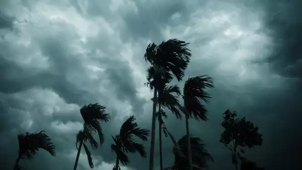 Tormenta tropical Erick se forma en el Pacífico; esta es su trayectoria