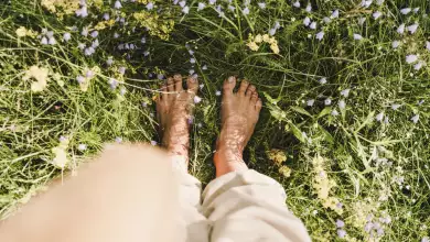 barefoot feet grounding in summer grass outdoors in nature