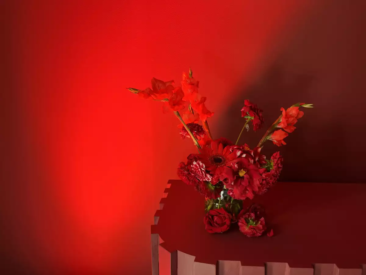 Ardiente, color del año de comex