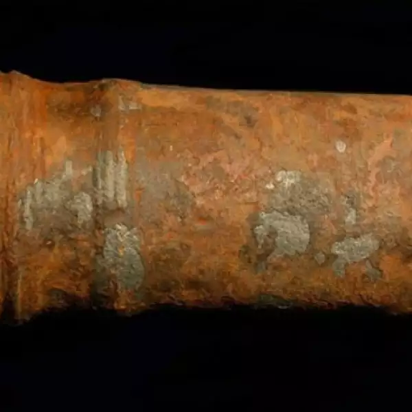 Barba negra -  cañón - naufragio