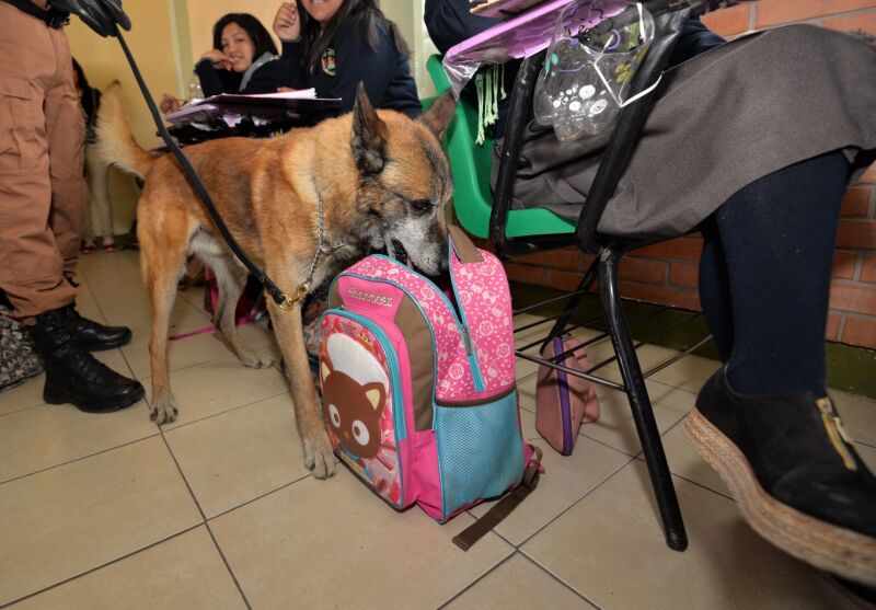 mochila segura