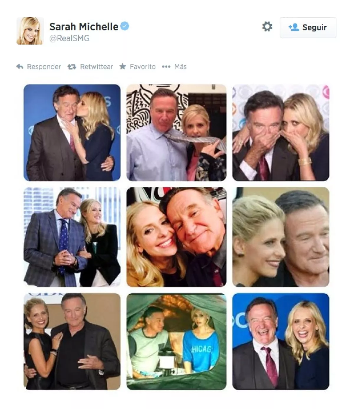 La actriz Sarah Michelle Gellar fue una de las últimas estrellas en compartir créditos con el actor cuando rodaron la serie `The Crazy Ones´, que el pasado mes de mayo se dio a conocer sería cancelada. Con este collage de imágenes expresó su adiós a su compañero de trabajo.