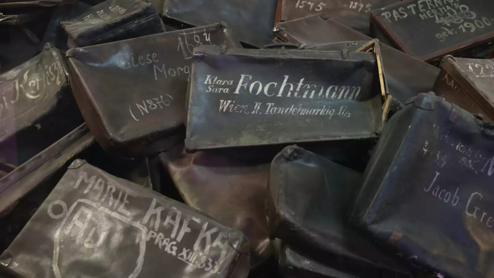 auschwitz 70 años 9