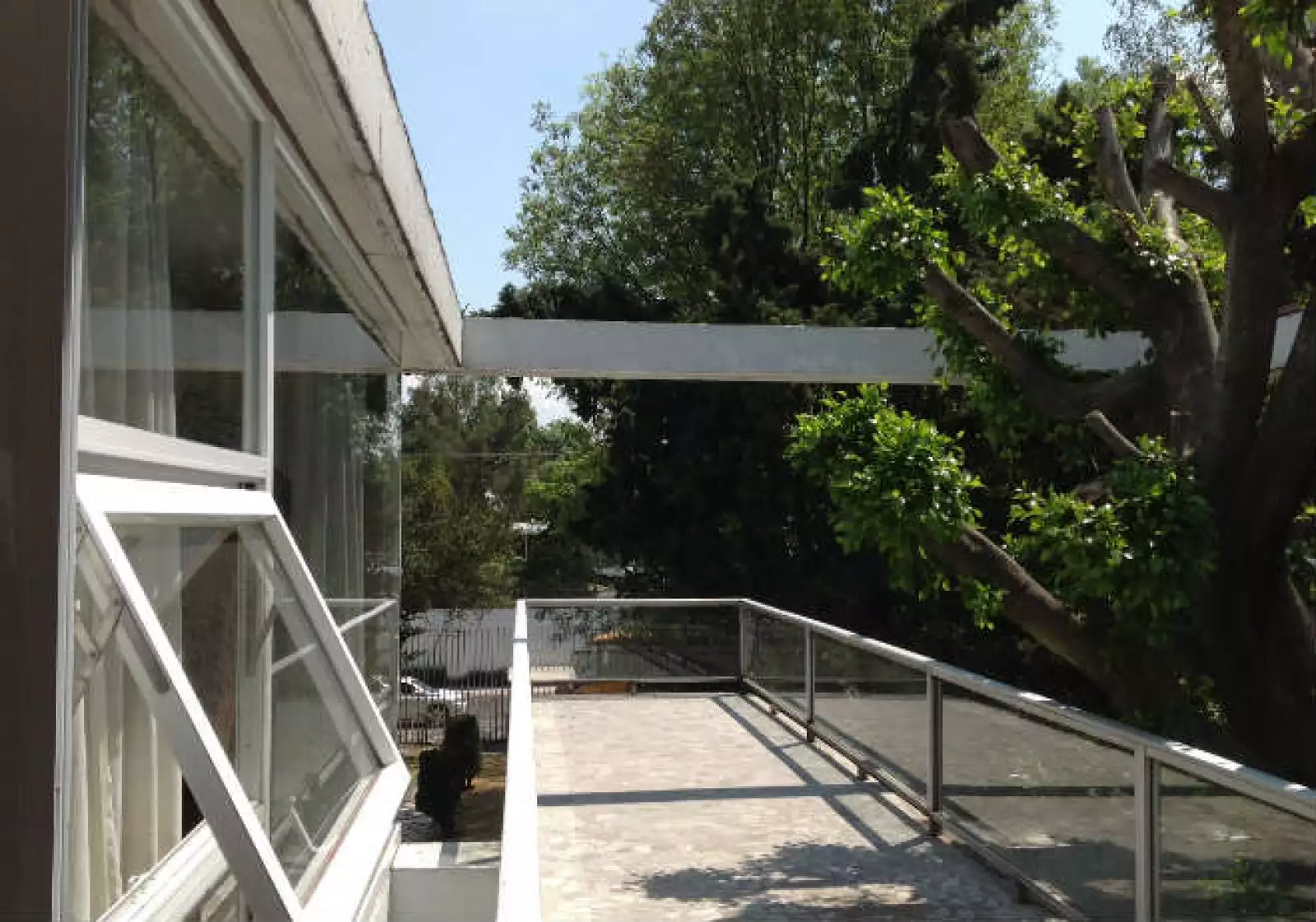 Patrimonio pedregal 5