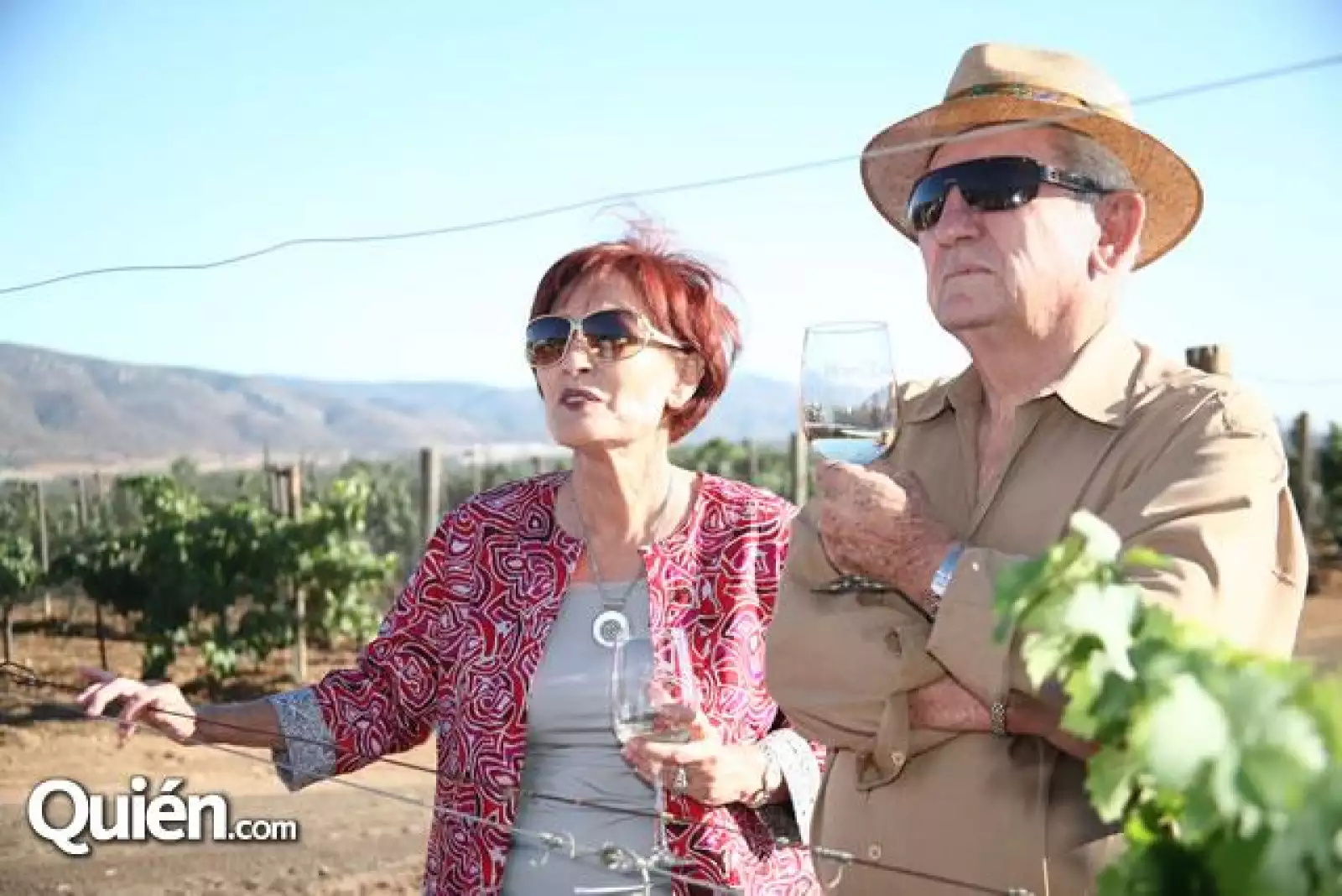 Vendimia Monte Xanic