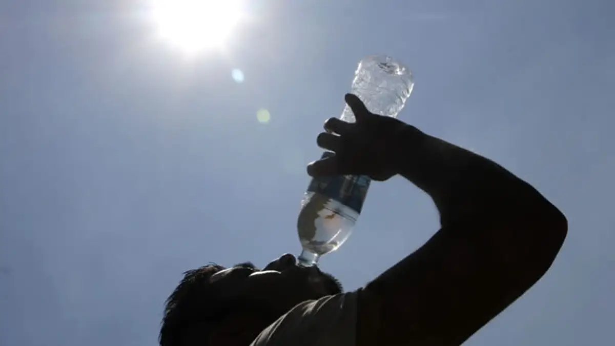 Calor