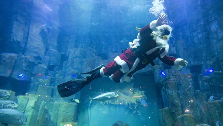 En el acuario de París, Francia, un buzo se disfrazó de Santa Clos para saludar bajo el agua a los niños que lo observaban desde fuera.