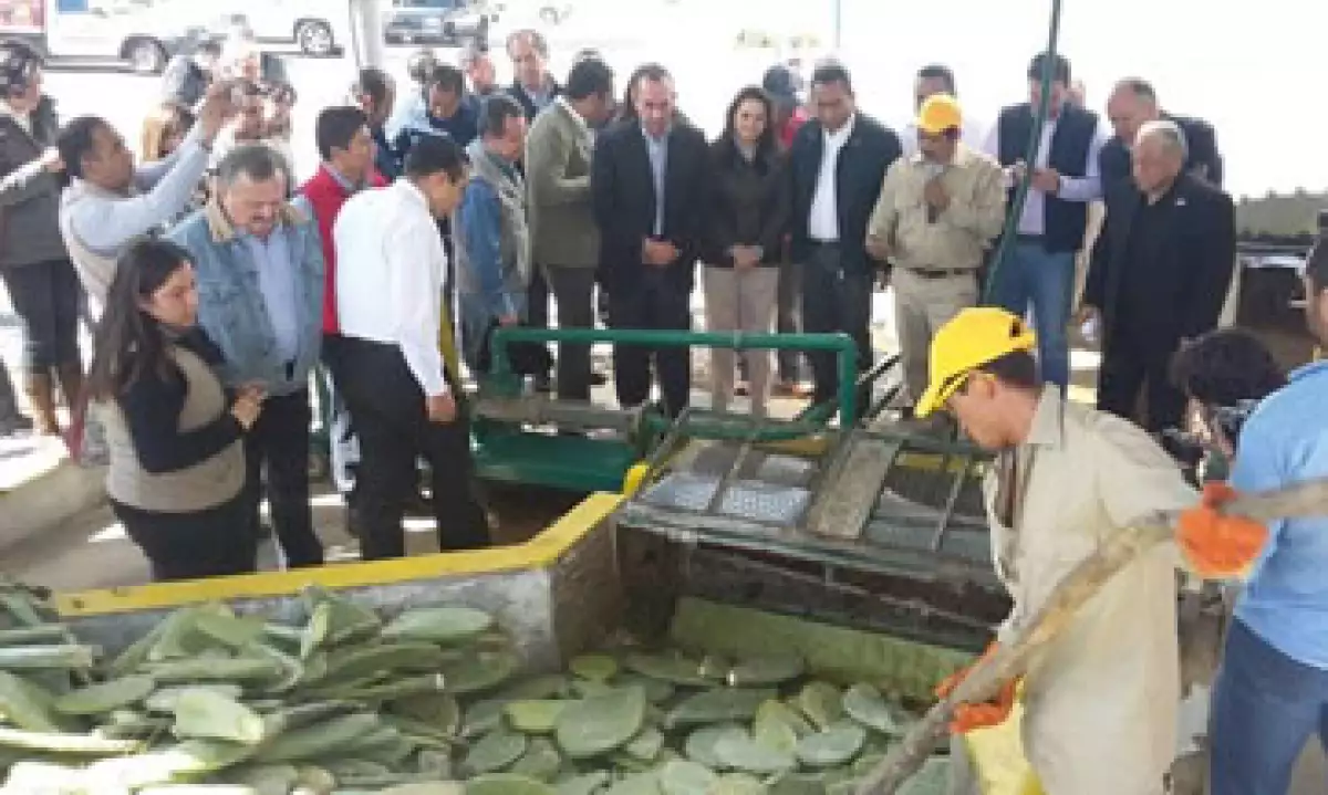 Biogas_Nopal_Michoac�n