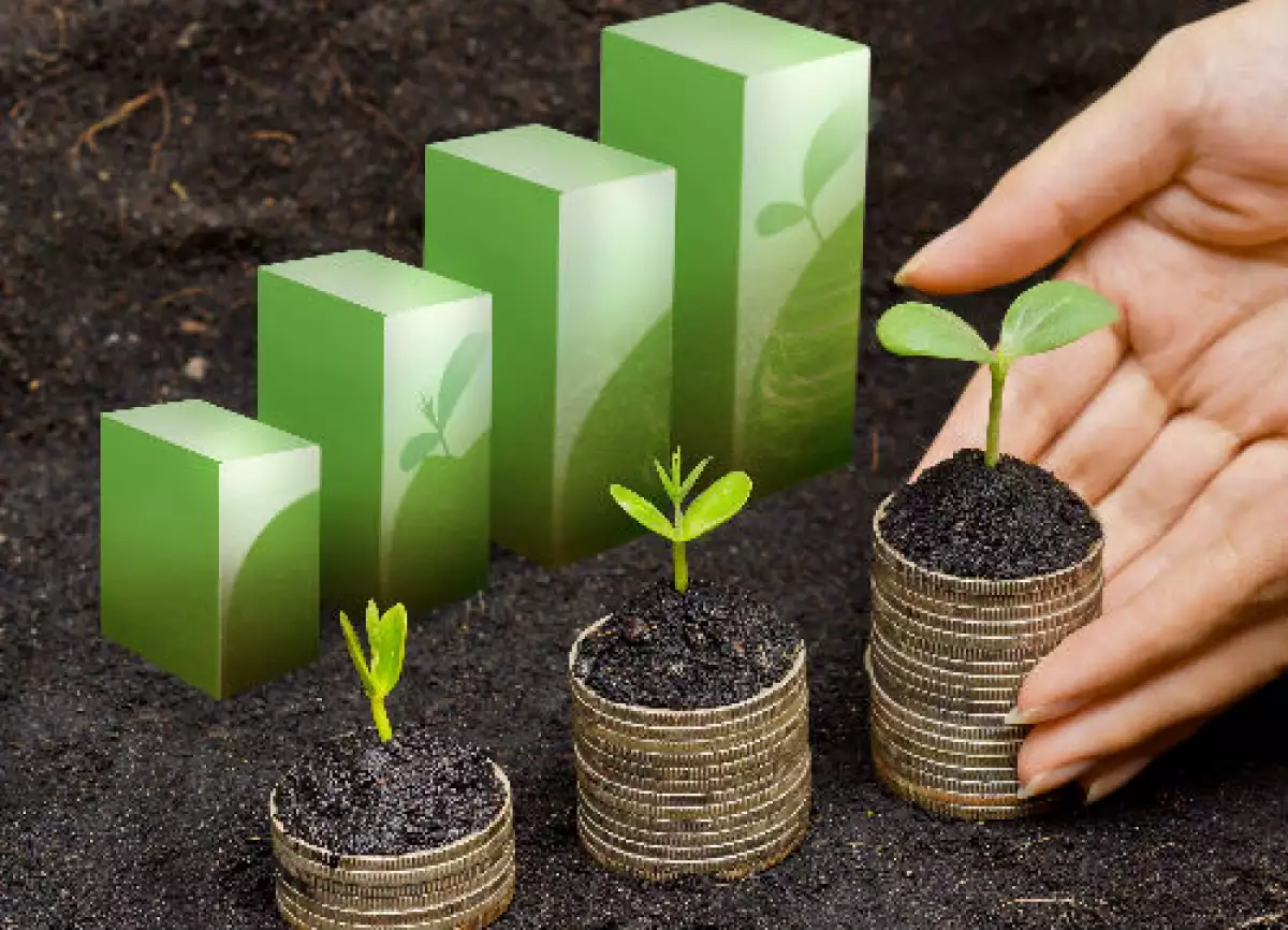 econom�a verde