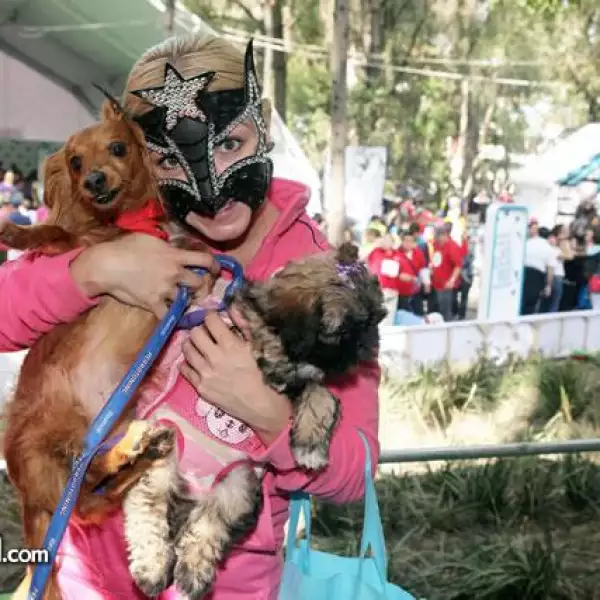 Sexy Star con Dulcinea