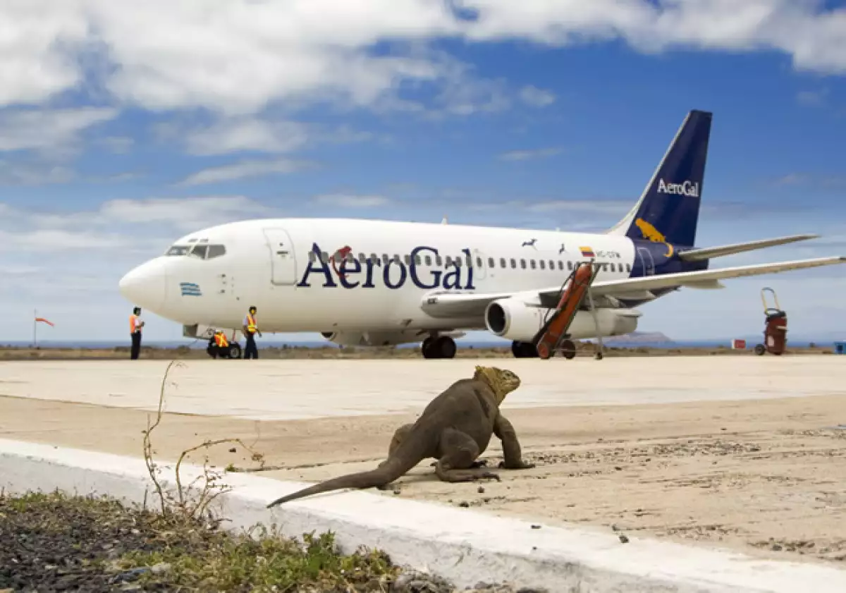 aeropuerto-galapagos