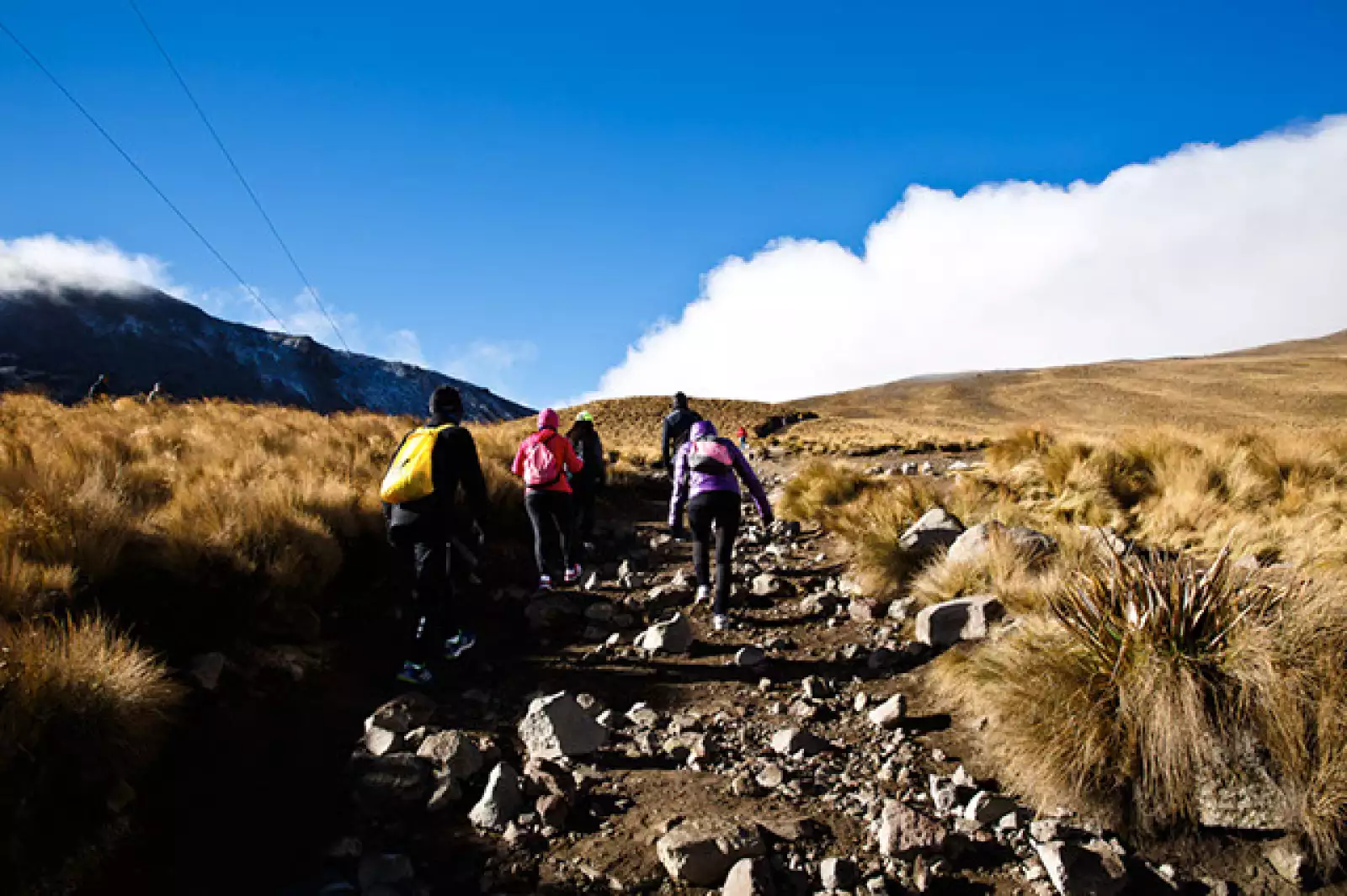 Caminata por el Nevado