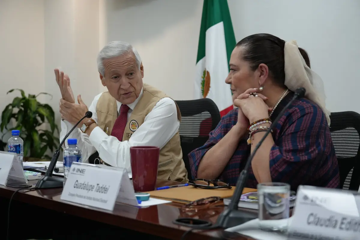 observadores-internacionales-ine.jfif