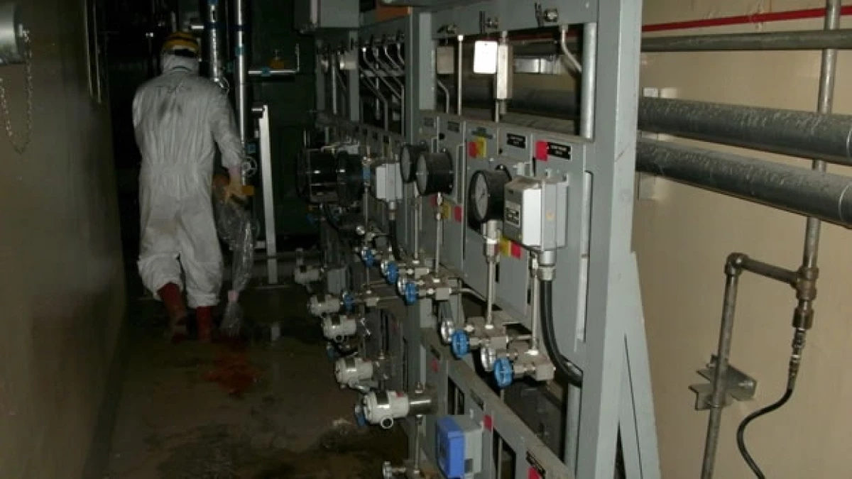 TEPCO