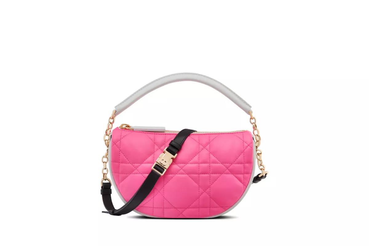 Dior Vibe Hobo