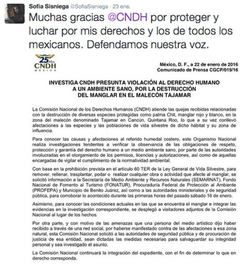 La actriz agradeció a la CNDH su interés en su caso.