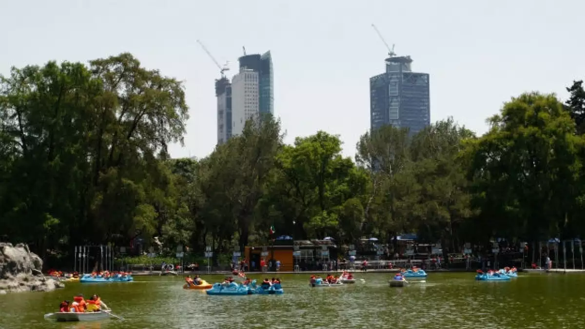 Bosque Chapultepec