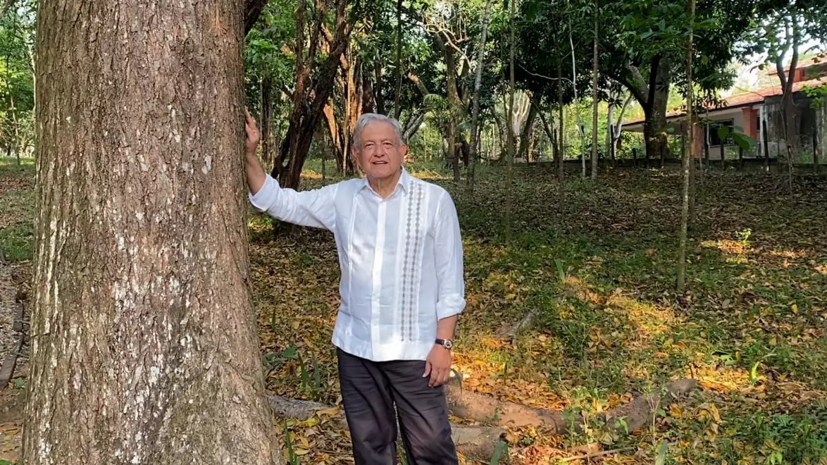 El presidente Andrés Manuel López Obrador anunció que propondrá a Joe Biden impulsar el programa Sembrando Vida en Centroamérica. 