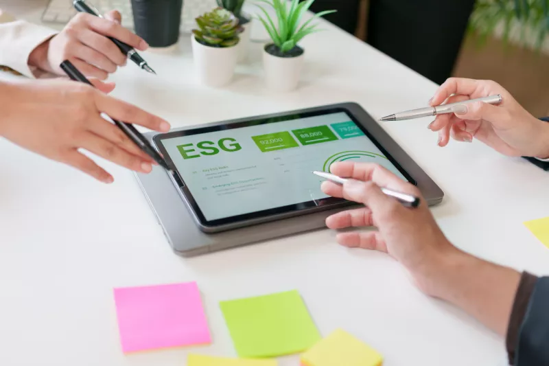 Sustainability strategy and ESG report analysis during business meeting