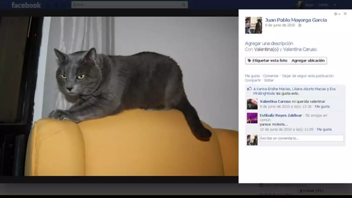 Facebook presenta el nuevo formato de visualización