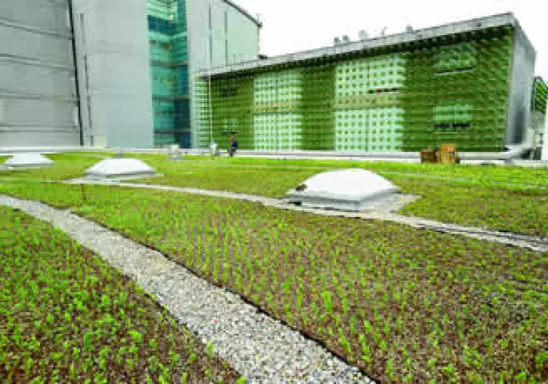 Wal-Mart pide a los proveedores que “reduzcan el tamaño del embalaje en 5% para 2013”. (Foto: Cortesía Wal-Mart)