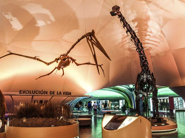 museos-mexico-recorrido-paseo-virtual-2