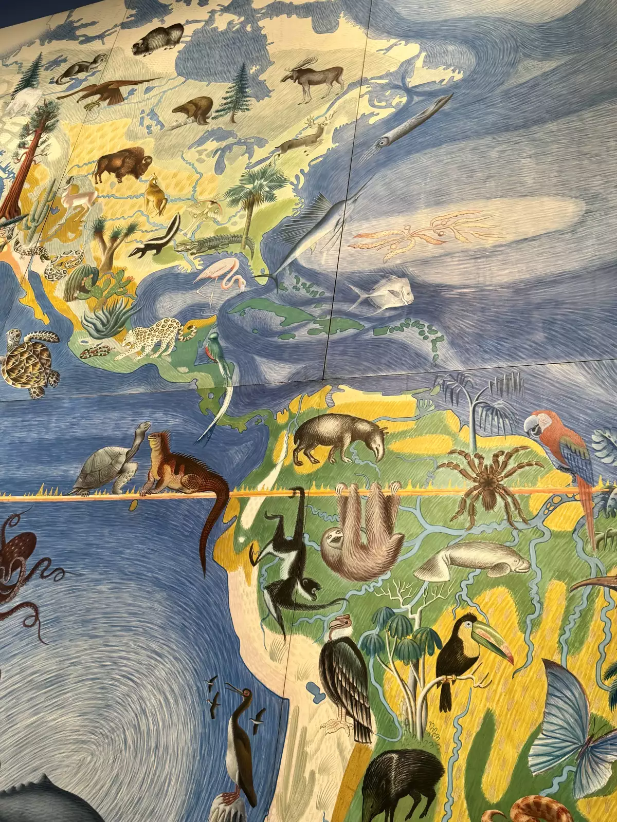 Mapa-Miguel-Covarrubias