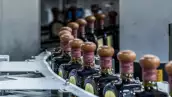 Estados Unidos compra 8 de cada 10 litros de tequila que exporta México