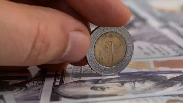 esperan crecimiento de remesas moderado