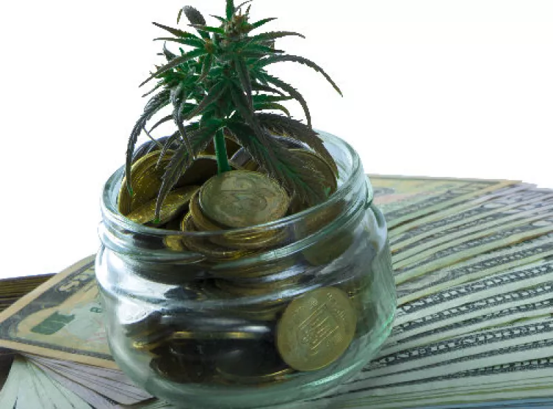 negocios con marihuana