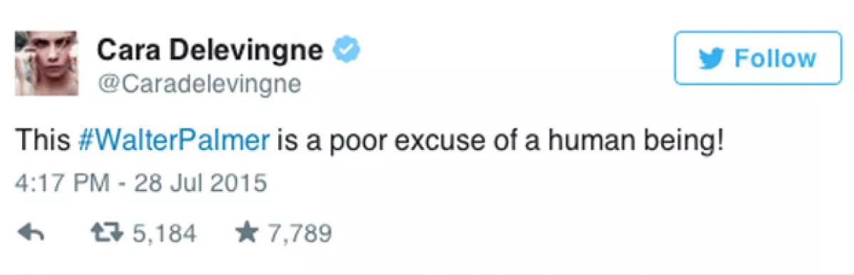 "Este #WalterPalmer es una pobre excusa de ser humano"