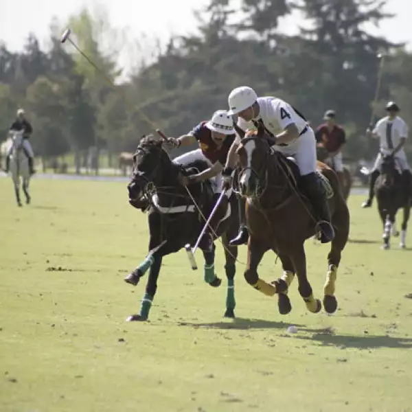 Torneo de Polo