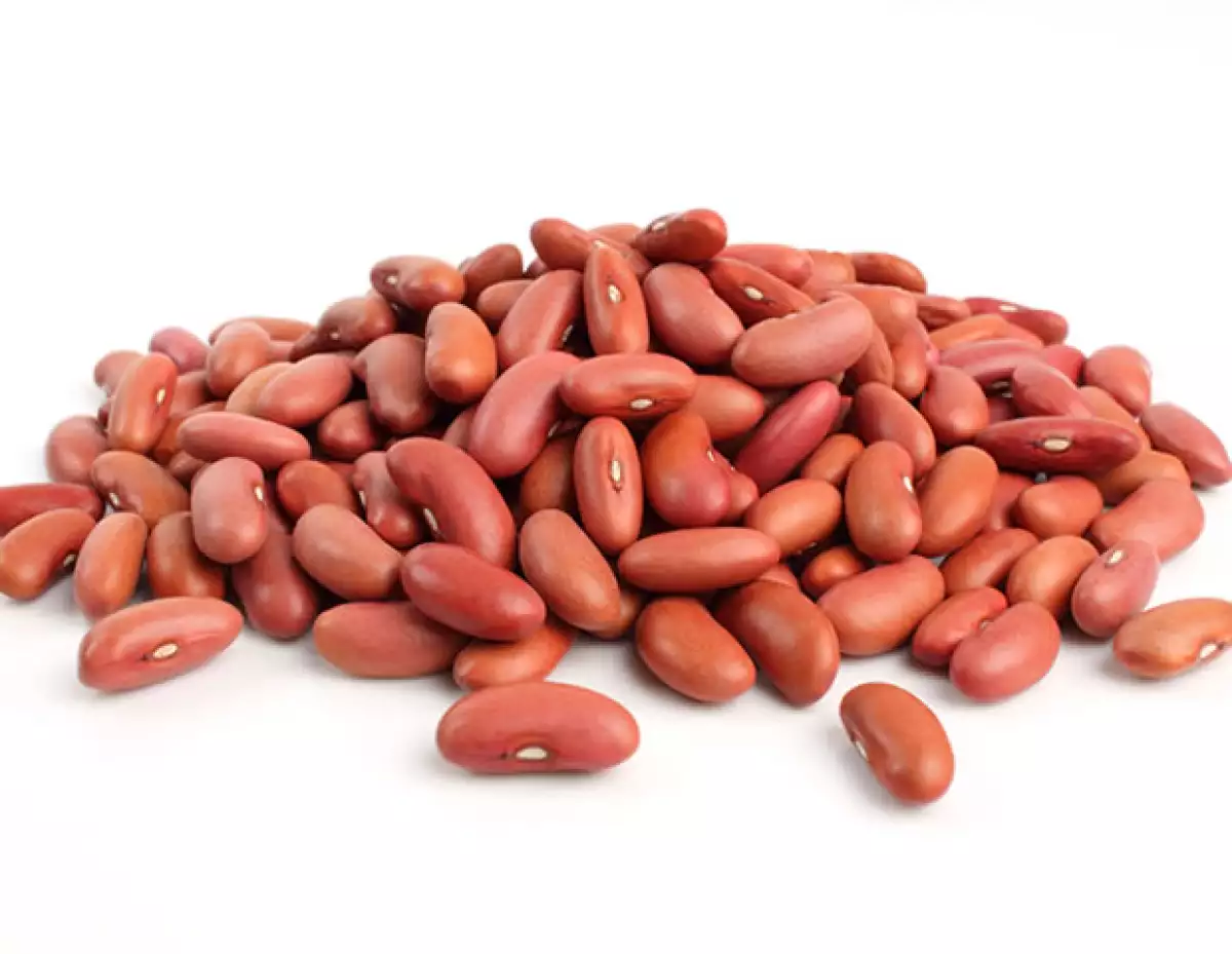 El frijol, junto con otras leguminosas contienen muchas proteínas que afectan e inflaman el abdomen.