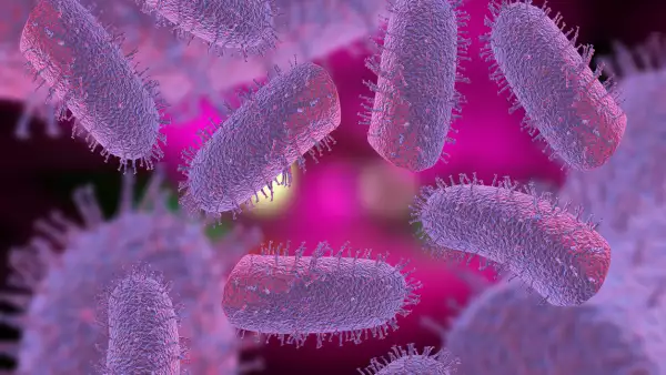 virus-marburgo-sintomas