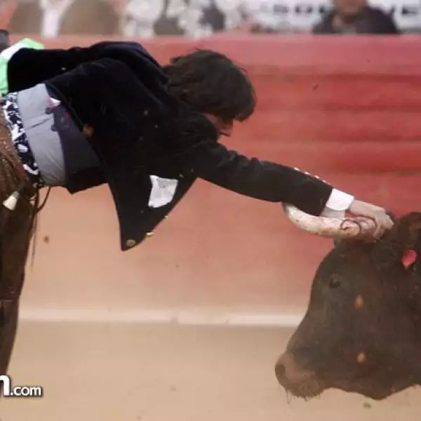 Rejoneador Diego Ventura