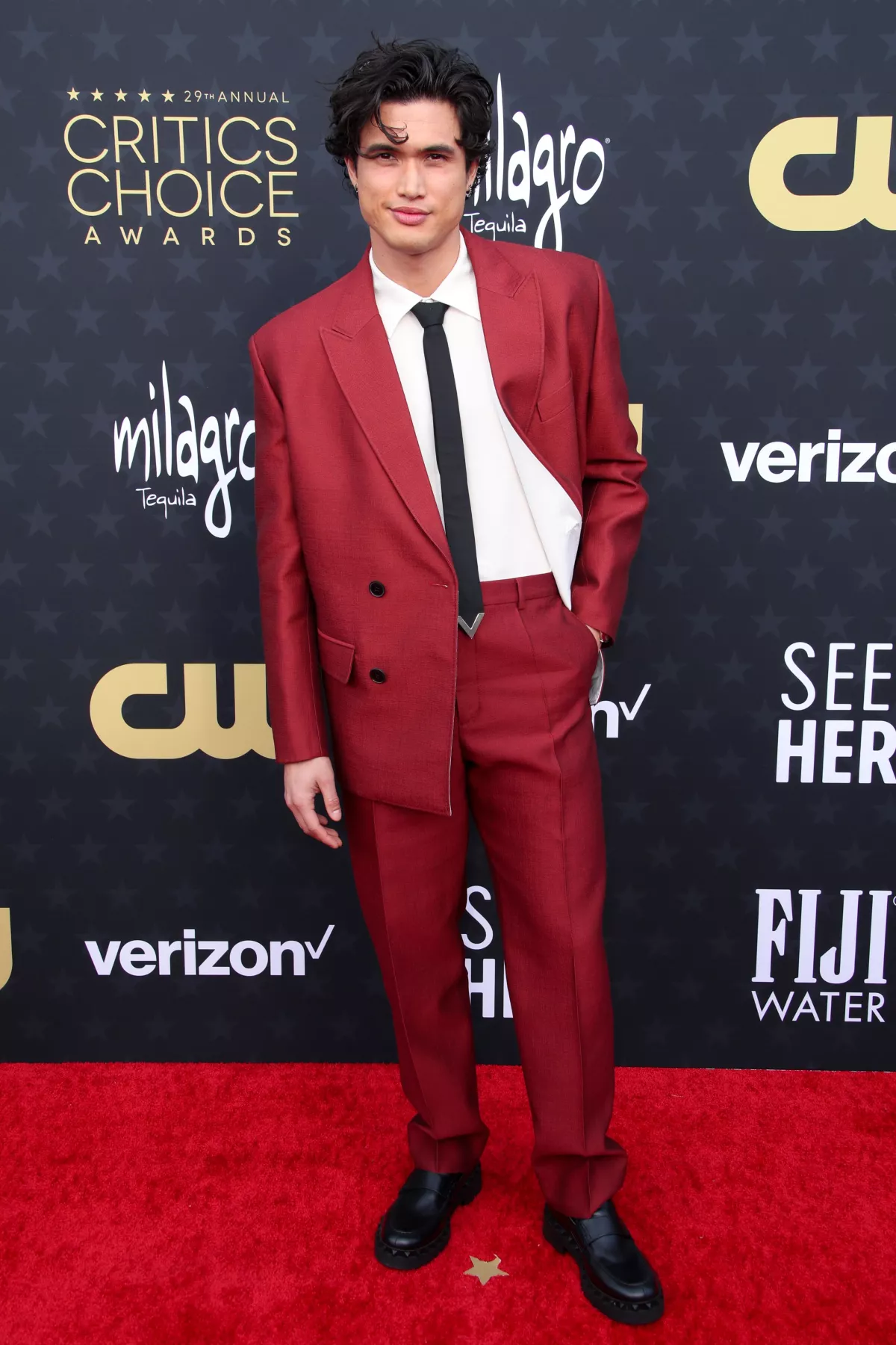 29th Annual Critics' Choice Awards, Arrivals, The Barker Hangar, Los Angeles, California, USA - 14 Jan 2024