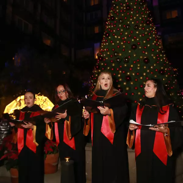 CHRISTMAS TREE FOUR SEASSONS