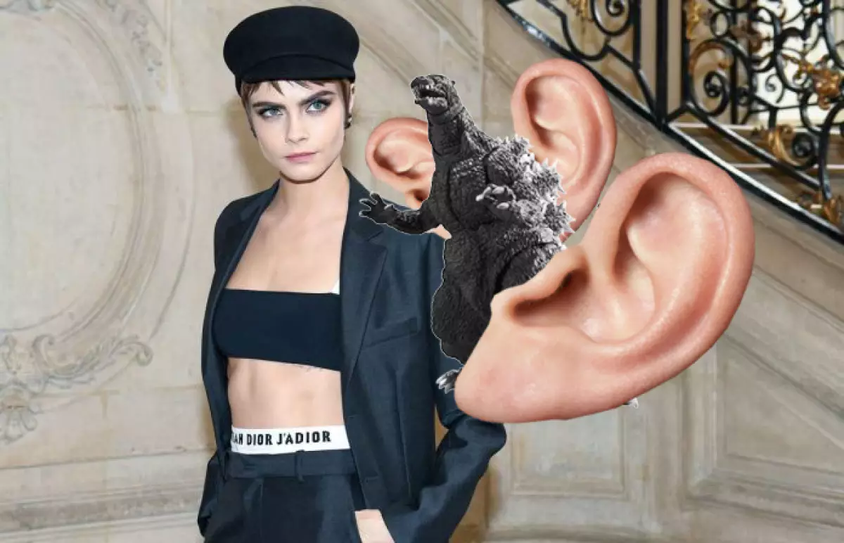 Oreja-Cara-Delevinge