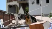 Un perro de rescate español busca posibles víctimas en los escombros de un edificio derrumbado en Catia La Mar, estado de La Guaira, Venezuela, el 28 de junio de 2026, tras los terremotos.