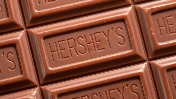 181026 chocolate is sandoclr.jpg