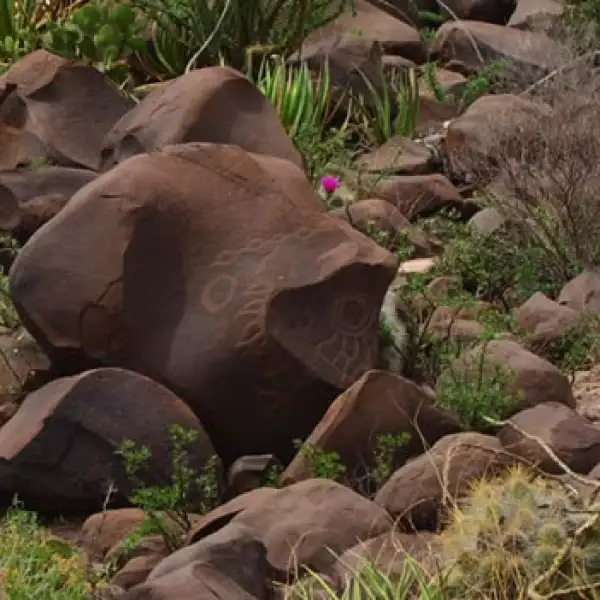 narigua, coahuila, arqueologia, petrograbado